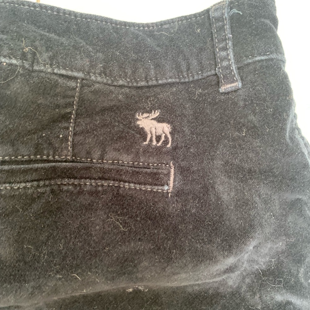 Abercrombie and Fitch Velvet Shorts - Picture 5 of 5